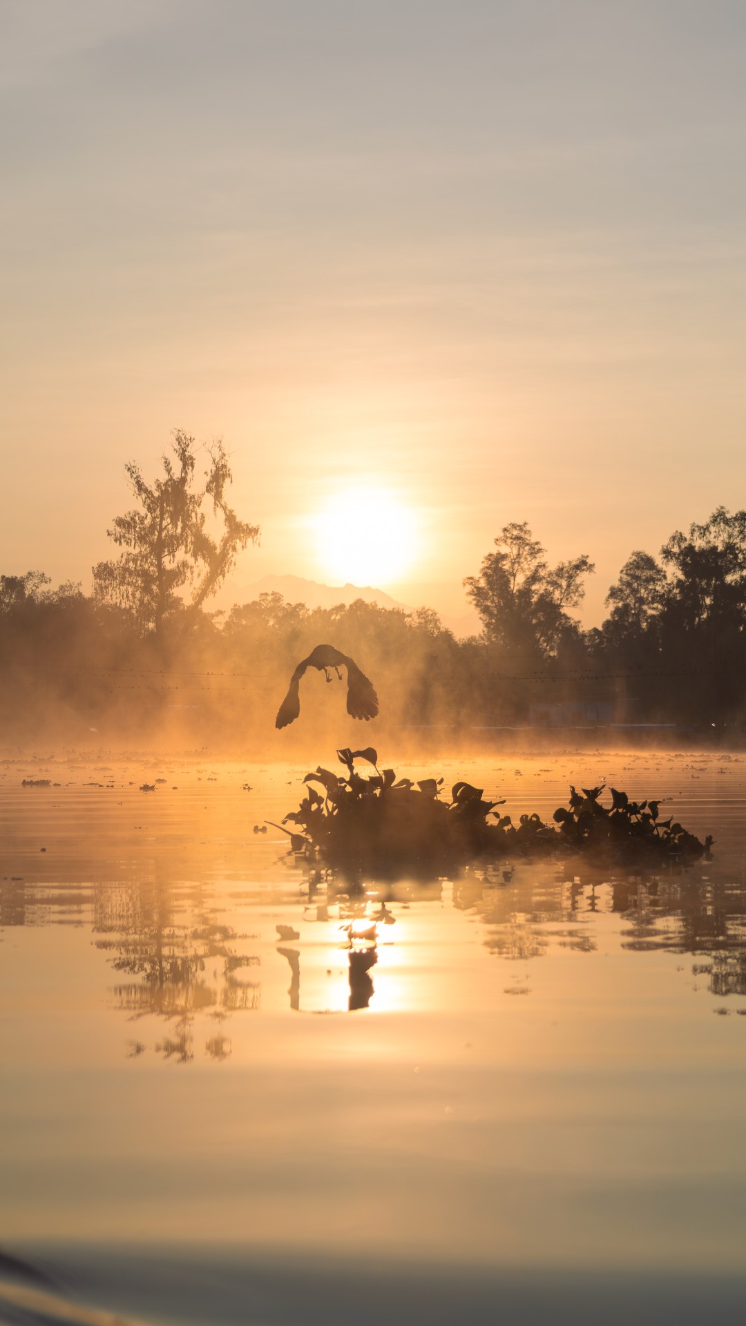 Amanecer Mitoti